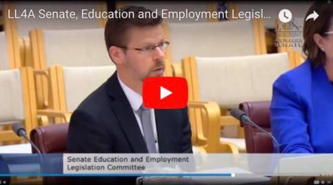 OLpic323023447_10213688195820443_734666894_n